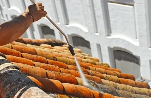 Nettoyage de toitures - Savignac-les-Ormeaux